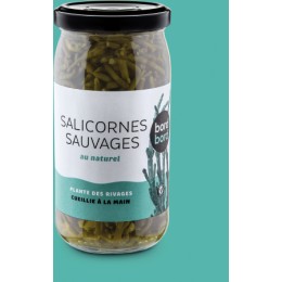 SALICORNES SAUVAGES AU NATUREL