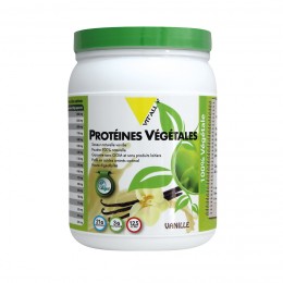 PLANT FUSION VANILLE