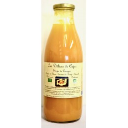 SOUPE DE COURGES